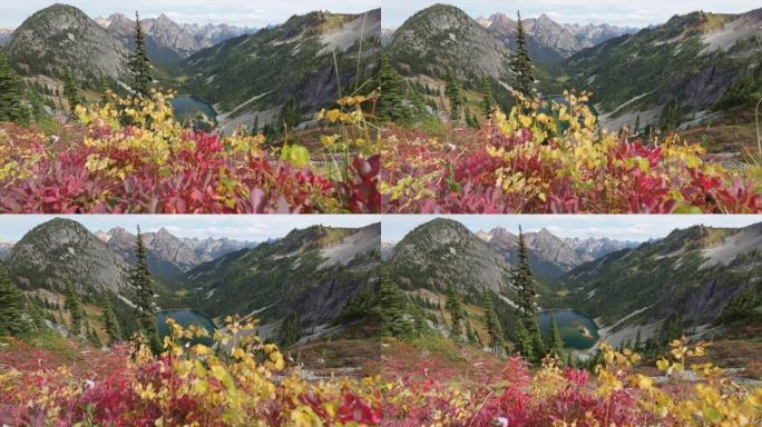 美国北喀斯喀特国家公园的山脉和湖泊。山里的秋天。红黄的叶子在强大的山峰的背景。美利坚合众国的性质，万