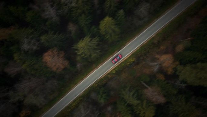 汽车在穿过森林的道路上行驶