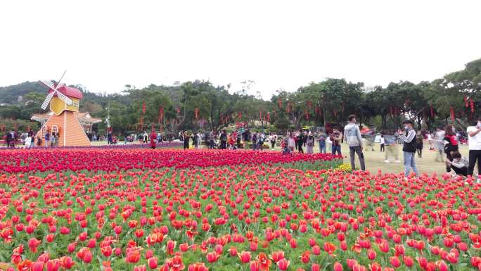 珠海春节游客人流量大延时摄影4K