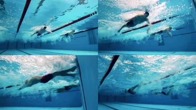 游泳者在水下进行蛙泳和海豚踢。职业游泳运动员比赛概念。
