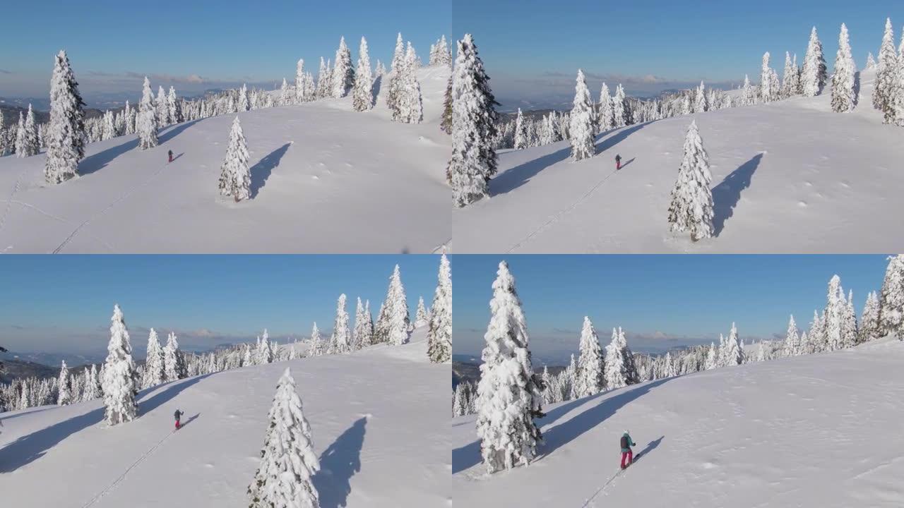 无人机: 在阳光明媚的冬日，雌性splitboarder在Velika Planina远足。