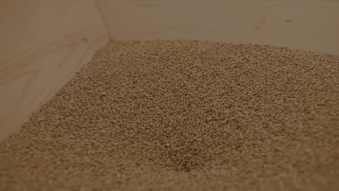 小麦谷物移入面粉厂机器