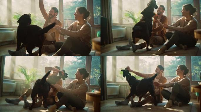在家: 幸福的夫妇和他们的狗，华丽的棕色拉布拉多猎犬一起玩。男朋友和女朋友挑逗玩具，宠物，抓挠超级快