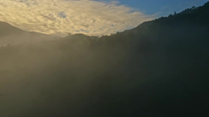 雾的鸟瞰图流过雨林山