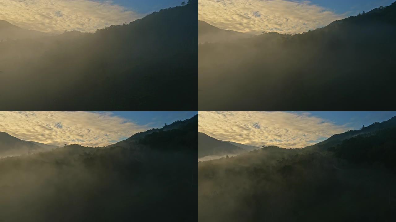 雾的鸟瞰图流过雨林山
