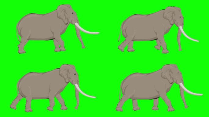 绿色屏幕上的行走慢动作大象卡通动画。动物，野生动物，游戏，返校，3d动画，电影，有机，色键，人物动画
