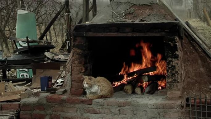 一只猫坐在阿根廷巴塔哥尼亚一所房屋后院的柴火炉前。