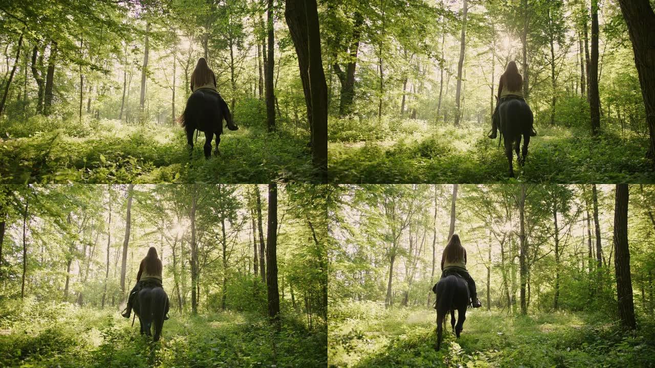 SLO MO女人骑着马穿过阳光明媚的森林