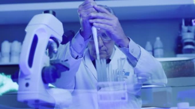 成熟的实验室科学家使用滴管或吸管填充测试猴痘管，并在紫外线照明的实验室中检查化学反应。生物化学家，基