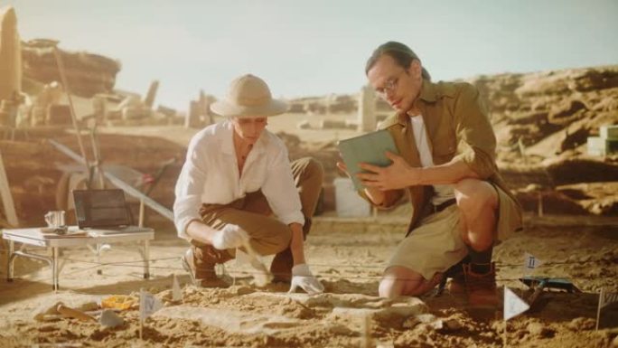 考古挖掘地点: 两位伟大的古生物学家发现了史前恐龙的化石遗骸，用刷子清理它。考古学家在挖掘现场工作，