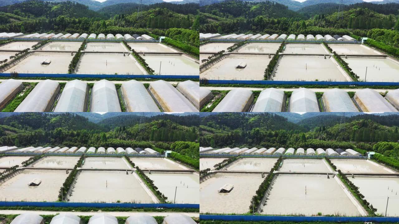 水产养殖池塘和温室的鸟瞰图