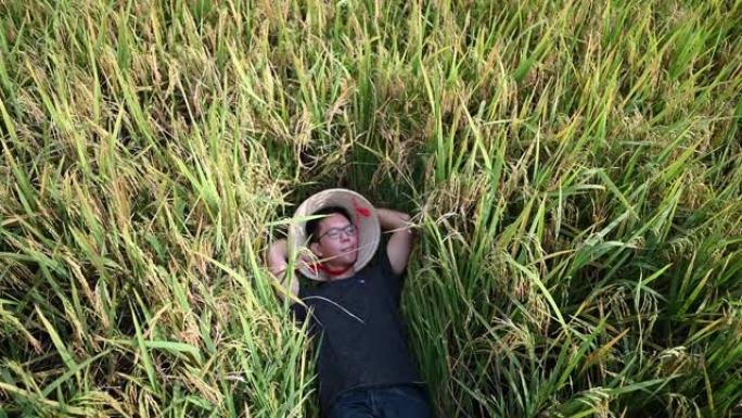 一位农民躺在sekinchan农田的稻田上，享受着收成