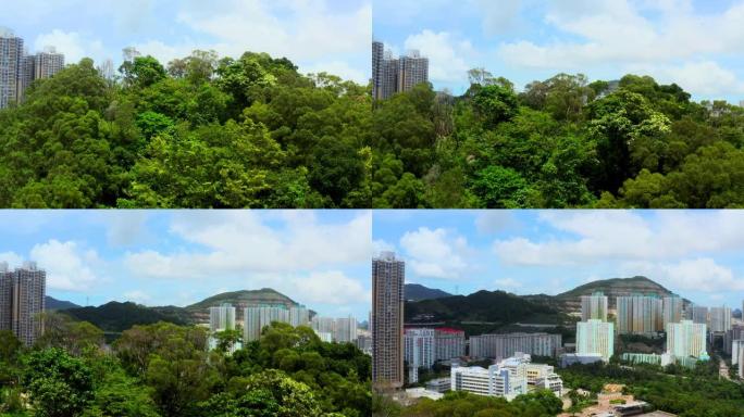 香港无人机拍摄的空中九龙概况晴天