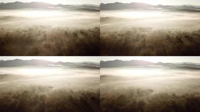 早晨日出时，在森林上的云雾上方进行空中拍摄