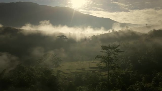 雾的鸟瞰图流过雨林山，多莉射击