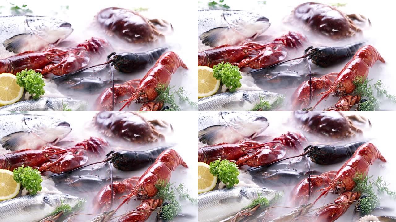 4K UHD Dolly向后: 各种豪华的新鲜海鲜，龙虾鲑鱼鲭鱼小龙虾对虾章鱼贻贝和扇贝，在冰的背景