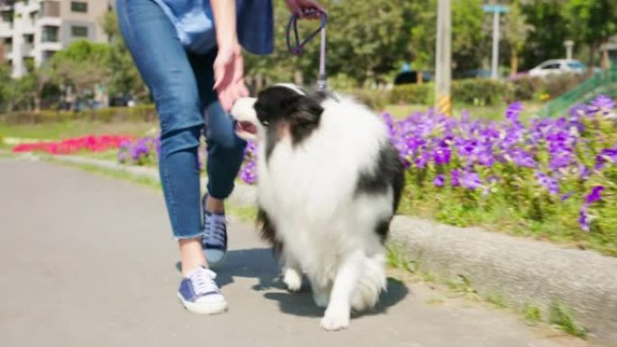 与狗同行的女人