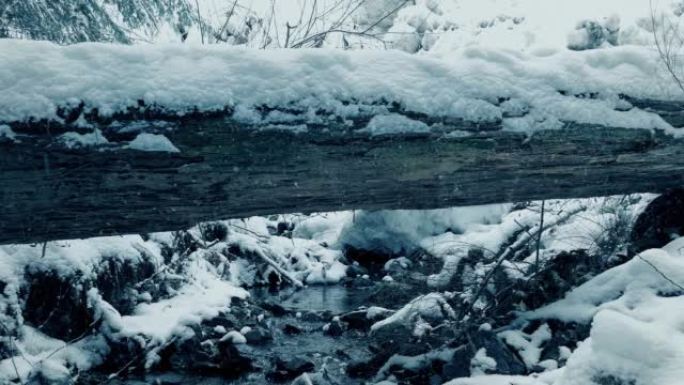 在冬季景观中记录溪流