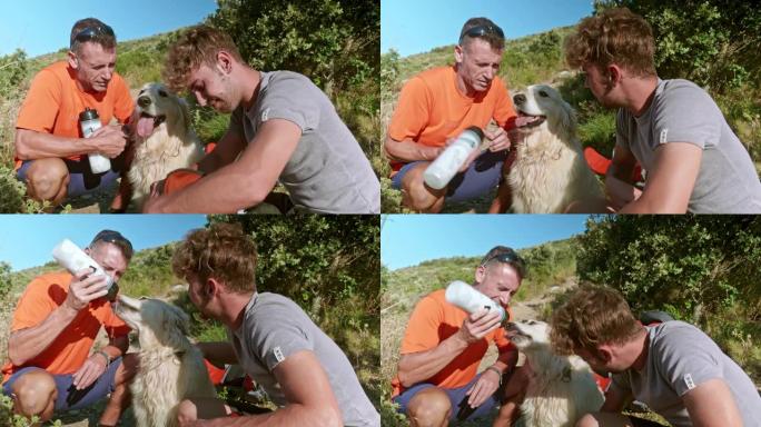 特写视频，父亲和成年儿子在爬山休息时给狗喝水