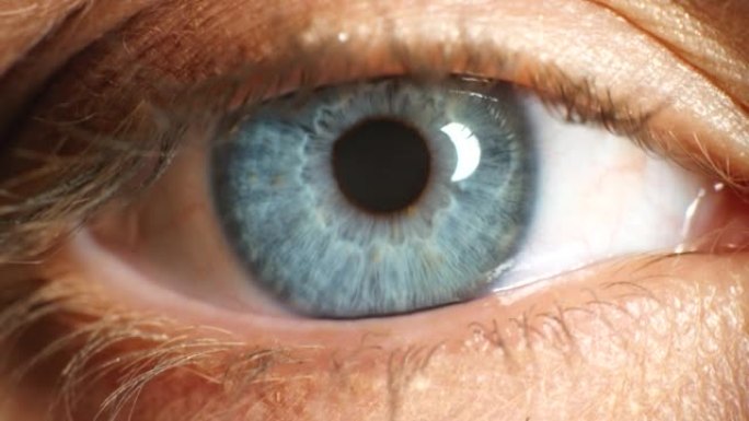 蓝眼睛，眨眼和虹膜在视觉，视力和人类视觉意识和光学聚焦。运动，验光和光学视图中健康瞳孔护理中宏眼睑开