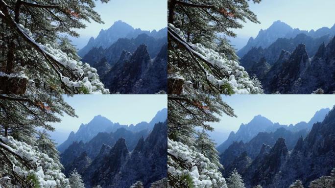 中国黄山冬季景观黄山风光黄山风景冬天黄山