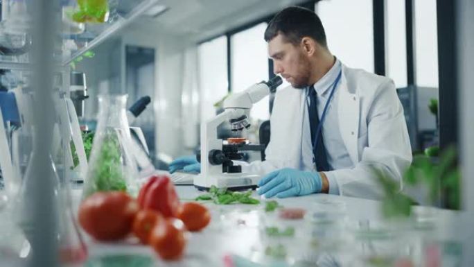 英俊的男性科学家通过先进的显微镜分析实验室种植的番茄。微生物学家使用技术设备在现代食品实验室中研究分