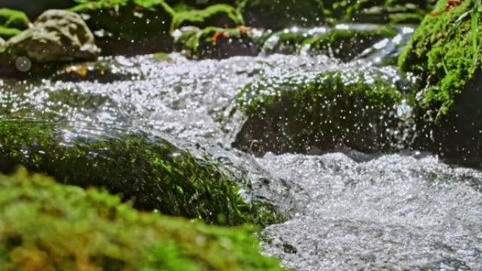 水流中的SLO MO水流过覆盖着苔藓的岩石