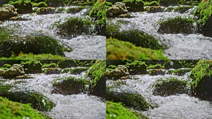 水流中的SLO MO水流过覆盖着苔藓的岩石