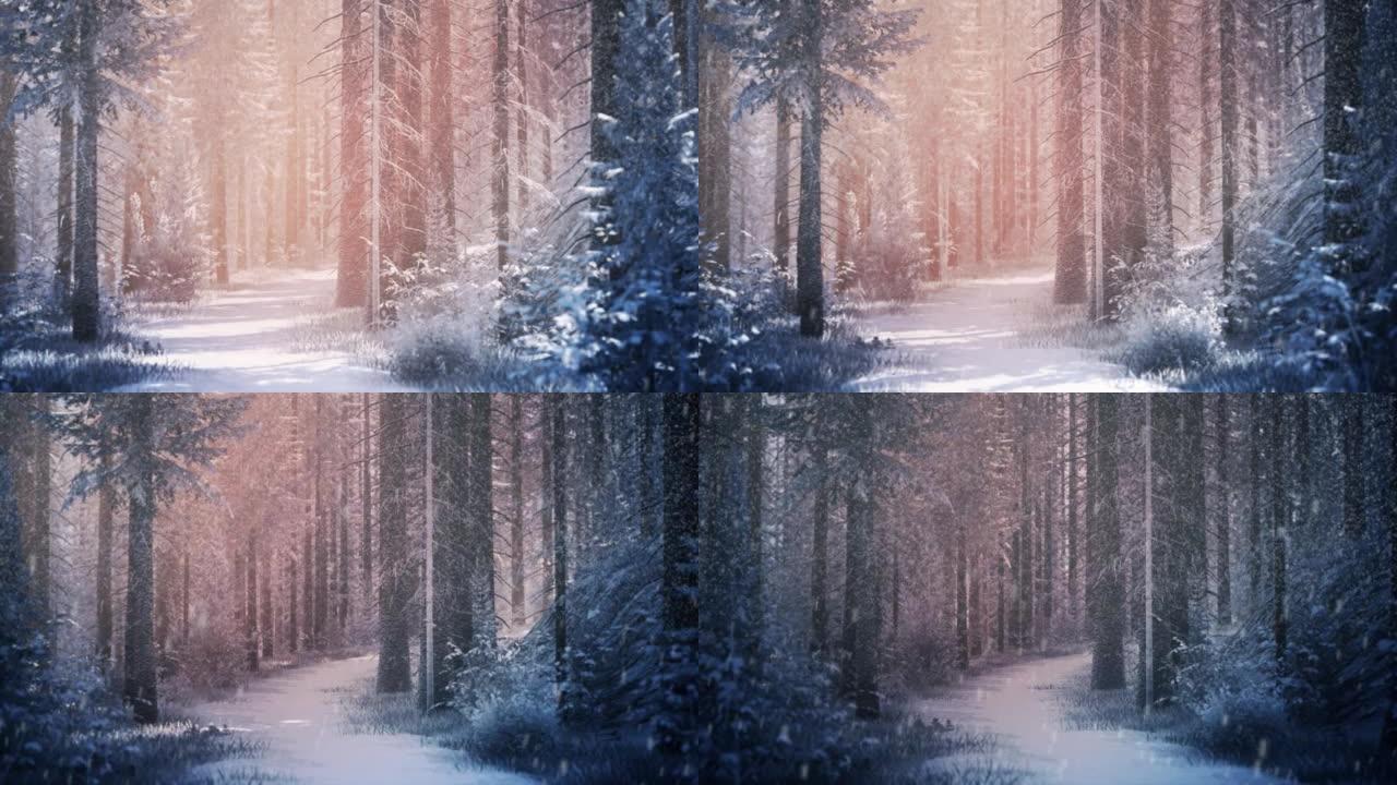新年卡片图像，在阳光下有极好的冬季森林路径