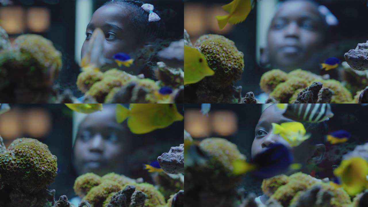 黑人女孩在水族馆里看着鱼好奇的孩子看着五颜六色的海洋生物在水箱里游泳，在水族馆里学习水下生态系统中的
