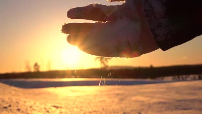 特写: 日落时分，雌性手在白雪皑皑的平原上滴下新鲜的柔软雪花
