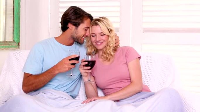 夫妇坐在毯子下的沙发上喝红酒