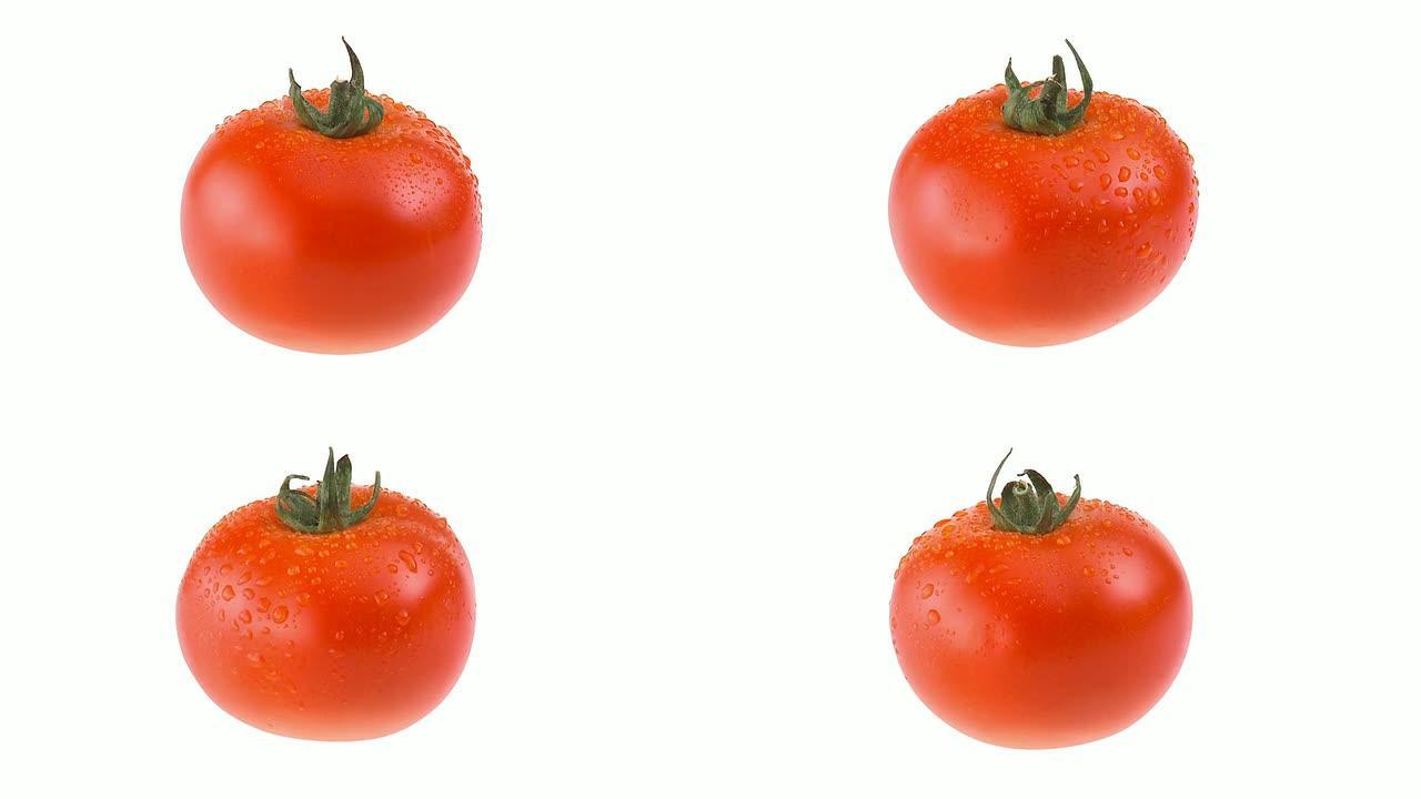 高清循环: 新鲜番茄