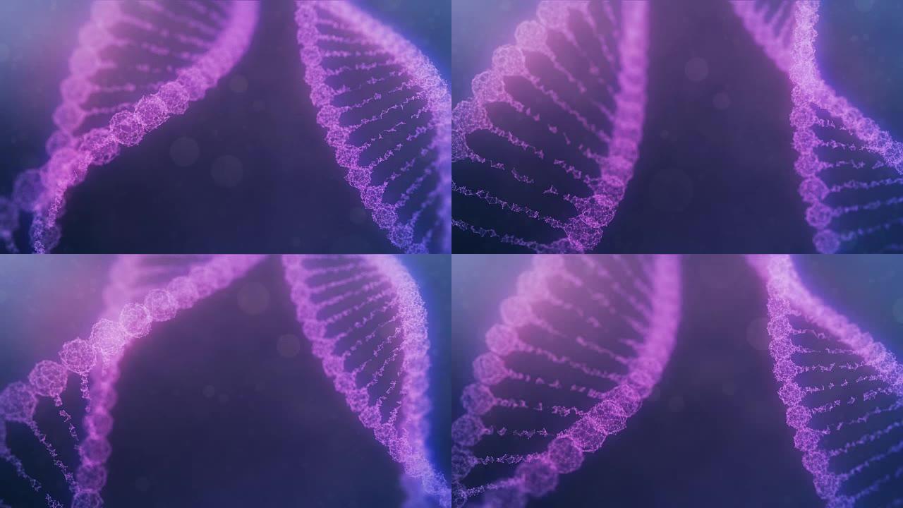 脉冲贯穿的两个旋转神经丛DNA链-紫色版本