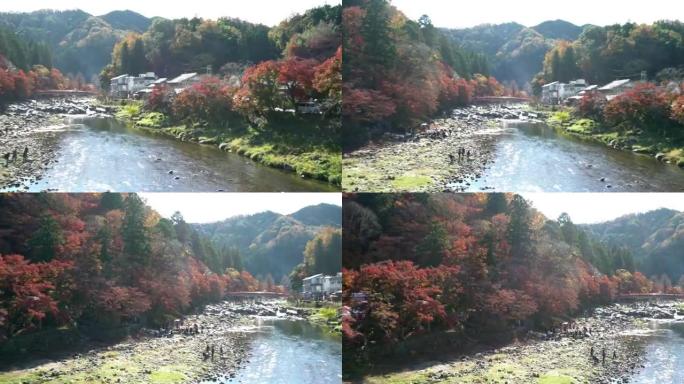 平移镜头: 带有秋红的korankei森林公园离开日本名古屋