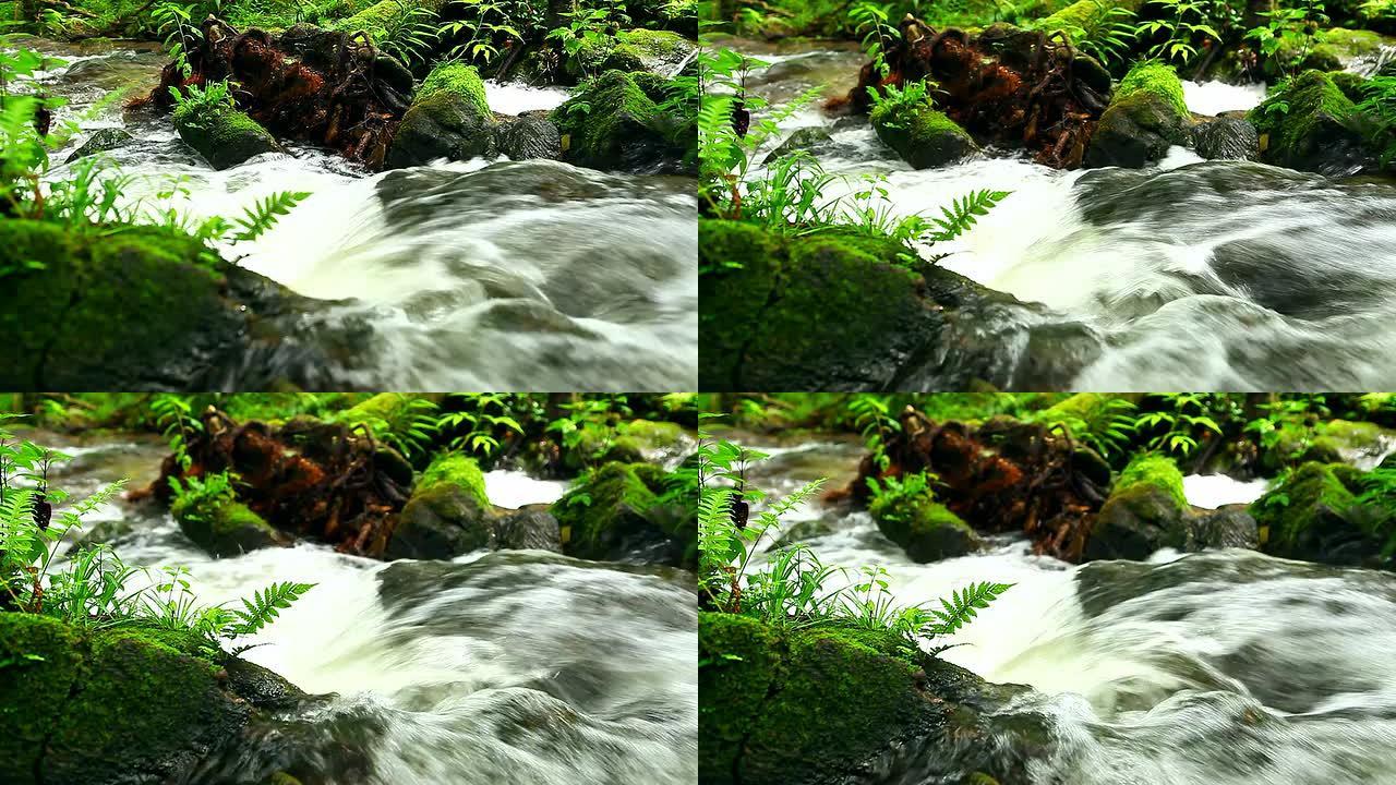 HD：自然界中美丽的瀑布。[推拉镜头]