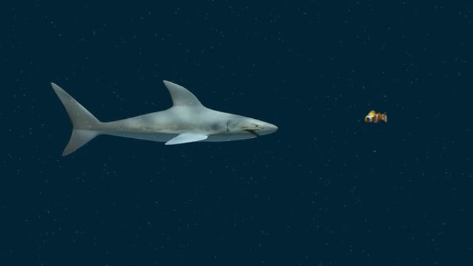 小鱼吃大鱼大白鲨小海鱼海底世界
