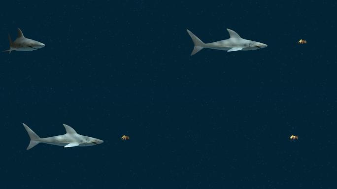 小鱼吃大鱼大白鲨小海鱼海底世界