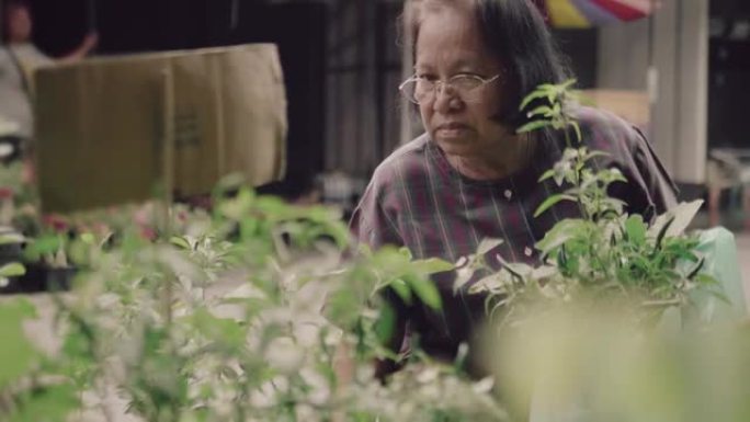 花店里的高级女人拿着锅里的绿树。