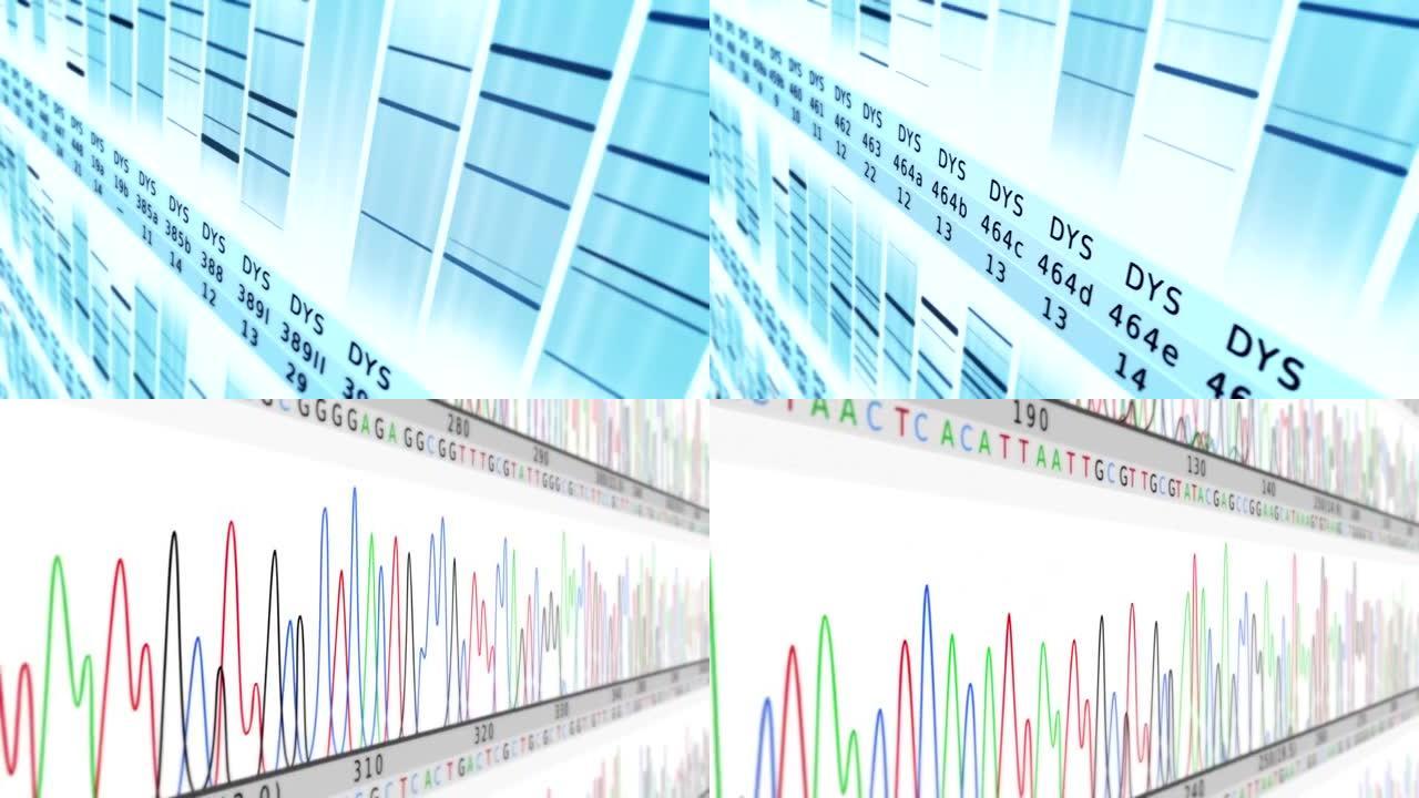 DNA序列。侧面视图。白青色。