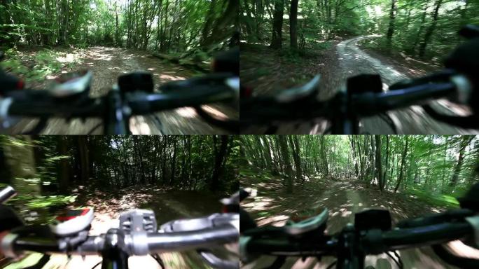 HD：森林中的山地自行车