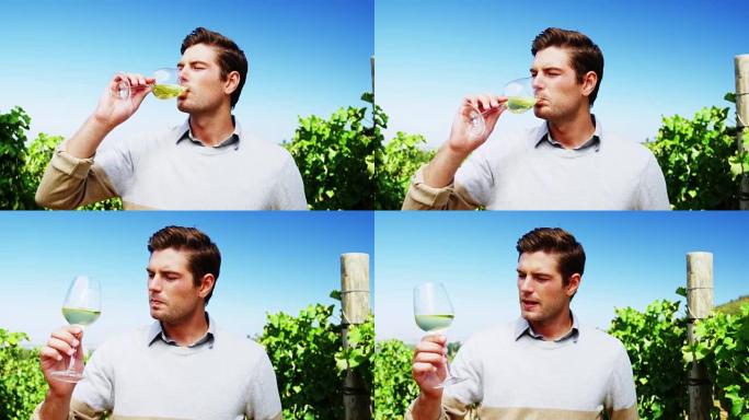 男子在葡萄园喝酒
