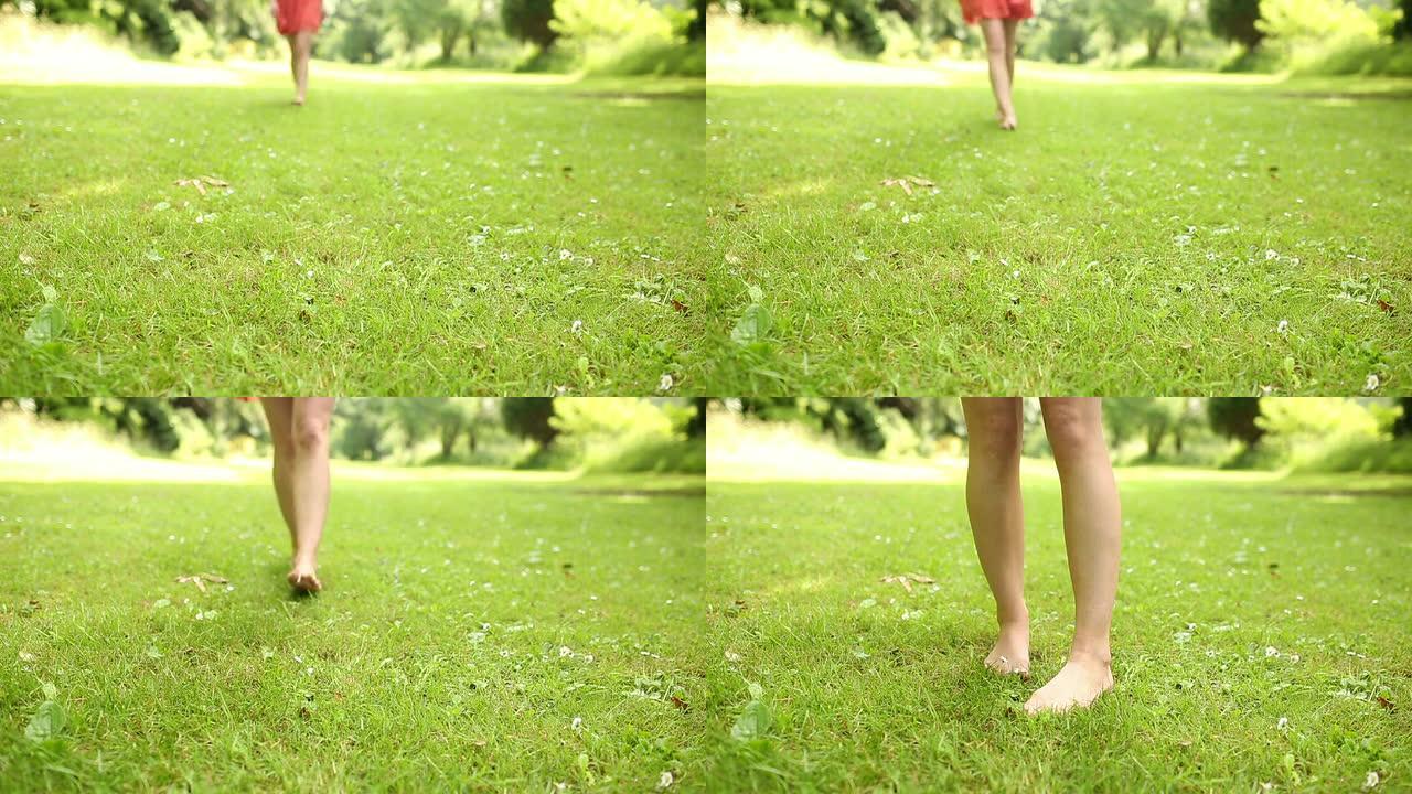 草地上的女性腿走向相机