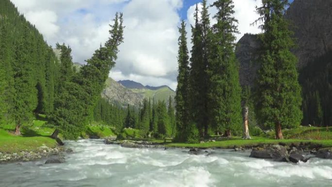 山、枞树和河流景观。吉尔吉斯斯坦天山
