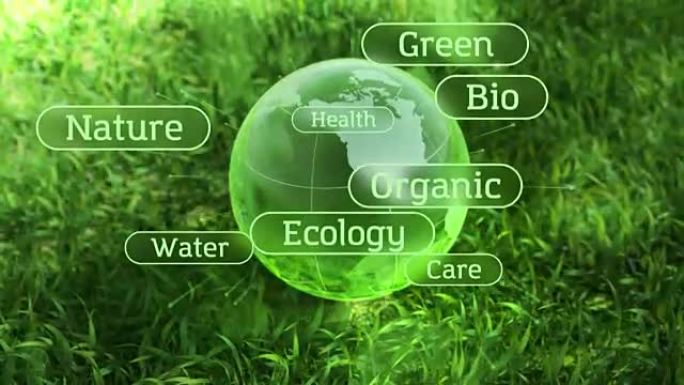 生态环境设计文本概念，绿草中的玻璃球
