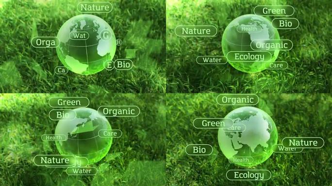 生态环境设计文本概念，绿草中的玻璃球