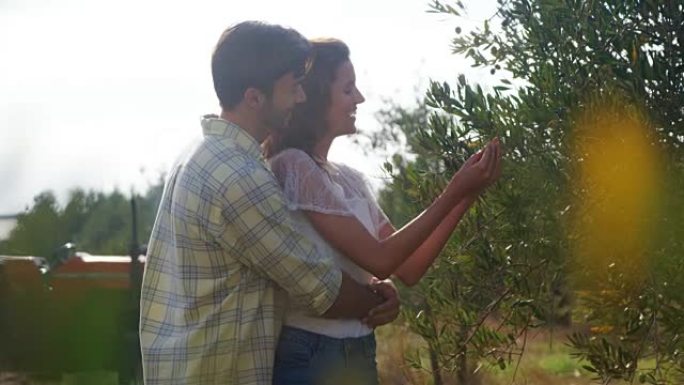 浪漫的情侣在4k农场检查橄榄