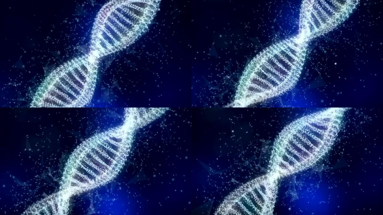 丛DNA分子模型
