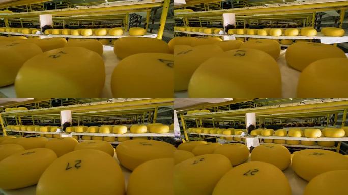 奶酪厂储存了很多奶酪。
