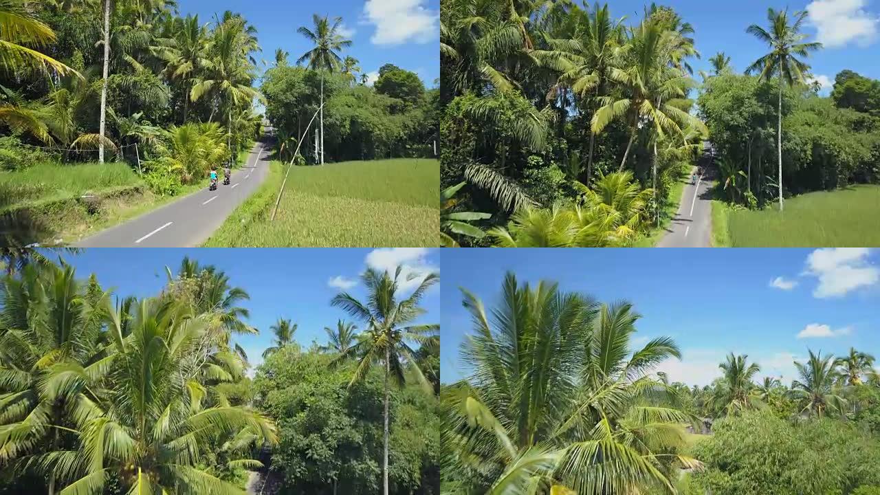 空中: 骑摩托车的游客穿过棕榈树丛林驶向村庄